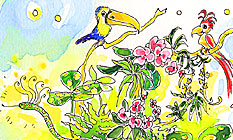 Pict: Paradise Birds