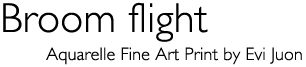 Title: «Broom flight»