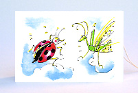 Bild: Marienkäfer und Grille